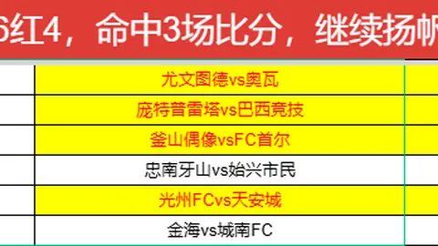 体育 ，实时比分，104205